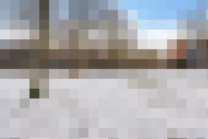 Vosackers 41 Emmen thumbnail 41