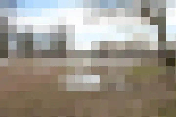 Vosackers 41 Emmen thumbnail 44
