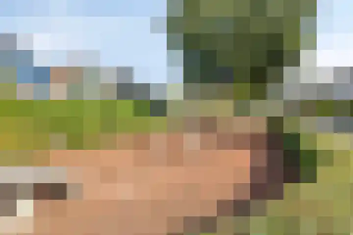 Vosbergen 32 Ugchelen thumbnail 22