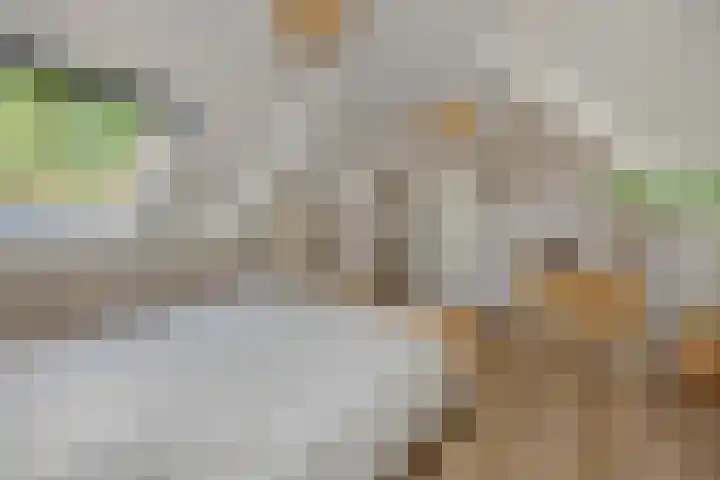 Vosbergstraat 8 Heesch thumbnail 30