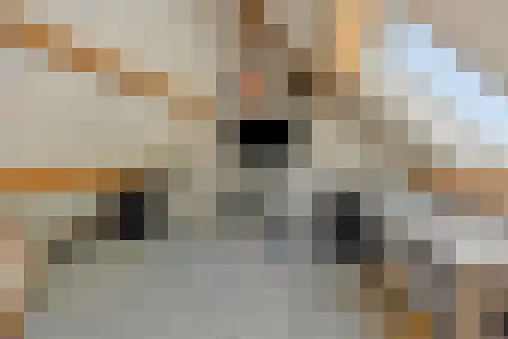 Vosbergstraat 8 Heesch thumbnail 48