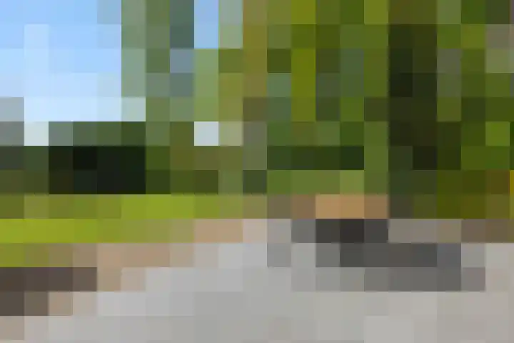 Vosbergstraat 8 Heesch thumbnail 52