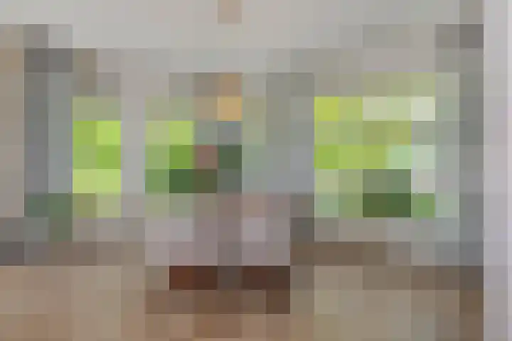 Vosbergstraat 8 Heesch thumbnail 9