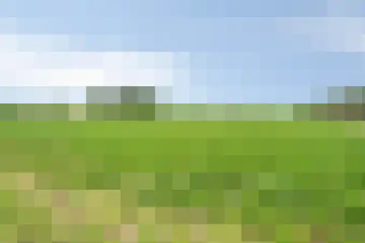 Vosdaalstraat 16 Limbricht thumbnail 7