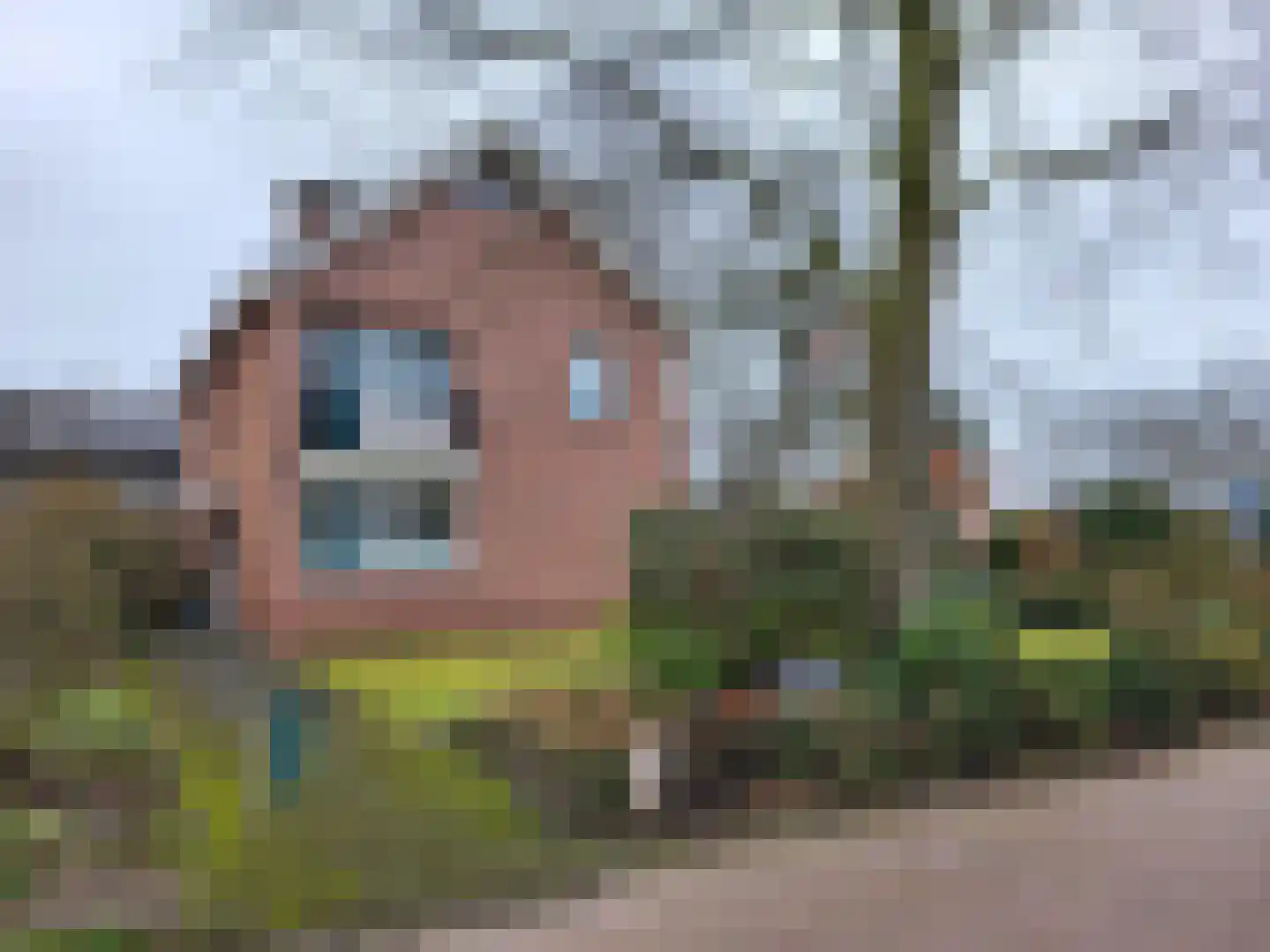 Vosland 33 Diepenheim