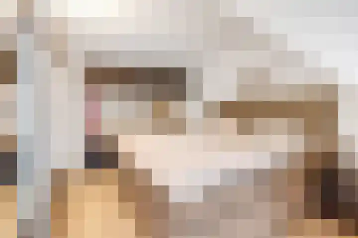 Vossebes 3 Zeewolde thumbnail 25