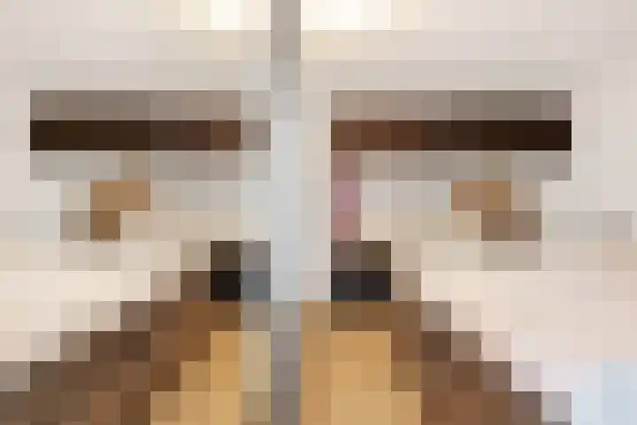 Vossebes 3 Zeewolde thumbnail 26
