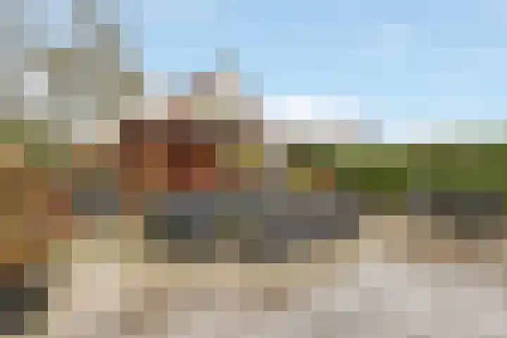 Vossebes 3 Zeewolde thumbnail 35