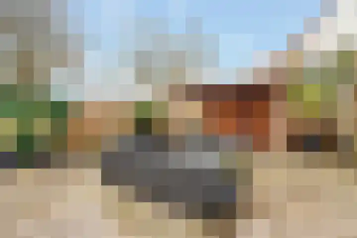 Vossebes 3 Zeewolde thumbnail 36