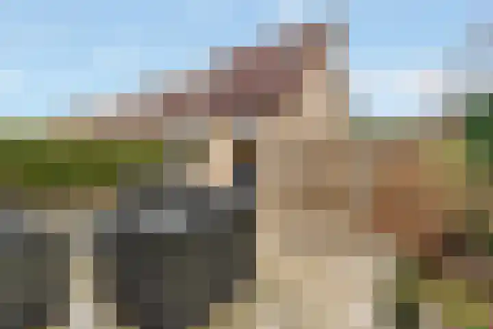 Vossebes 3 Zeewolde thumbnail 39