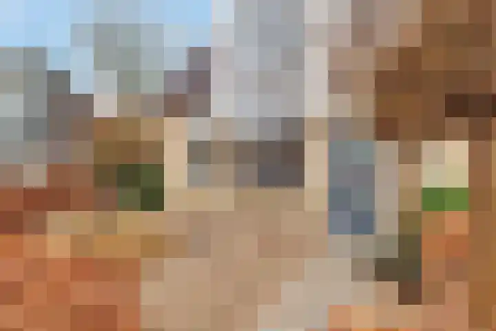 Vossebes 3 Zeewolde thumbnail 4