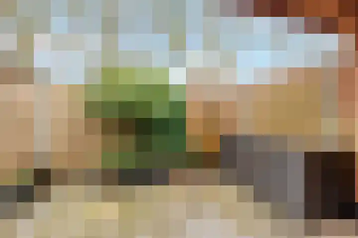 Vossebes 3 Zeewolde thumbnail 41