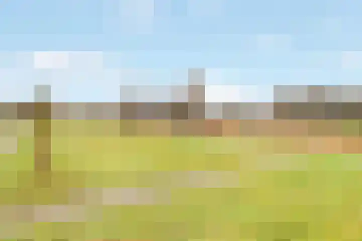 Vossebes 3 Zeewolde thumbnail 44