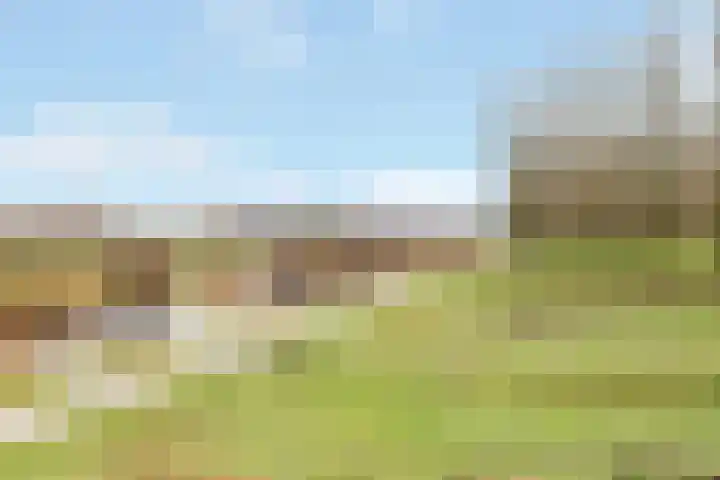 Vossebes 3 Zeewolde thumbnail 45