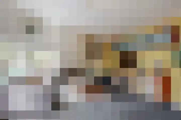 Vossebes 6 Leiden thumbnail 11