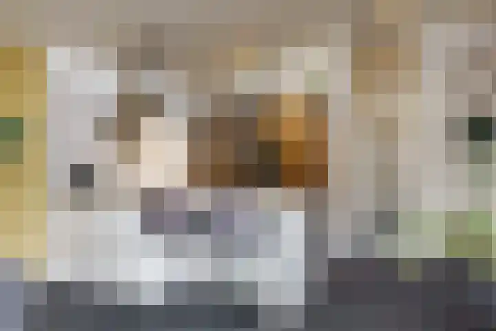 Vossebes 6 Leiden thumbnail 13