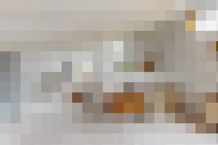 Vossebes 6 Leiden thumbnail 28