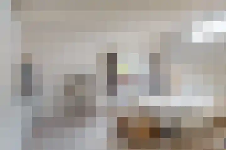 Vossebes 6 Leiden thumbnail 32