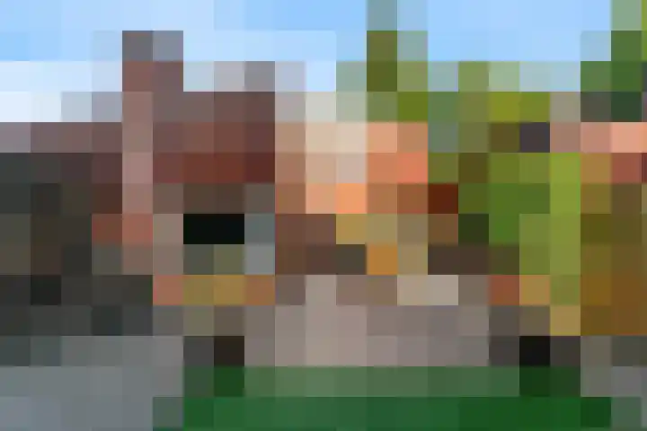 Vossebes 6 Leiden thumbnail 35