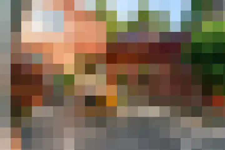 Vossebes 6 Leiden thumbnail 37
