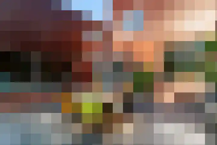 Vossebes 6 Leiden thumbnail 38