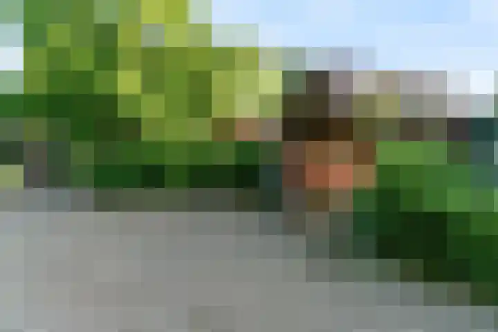 Vossebes 6 Leiden thumbnail 4