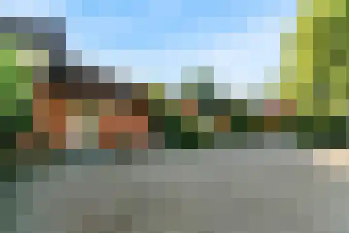 Vossebes 6 Leiden thumbnail 45