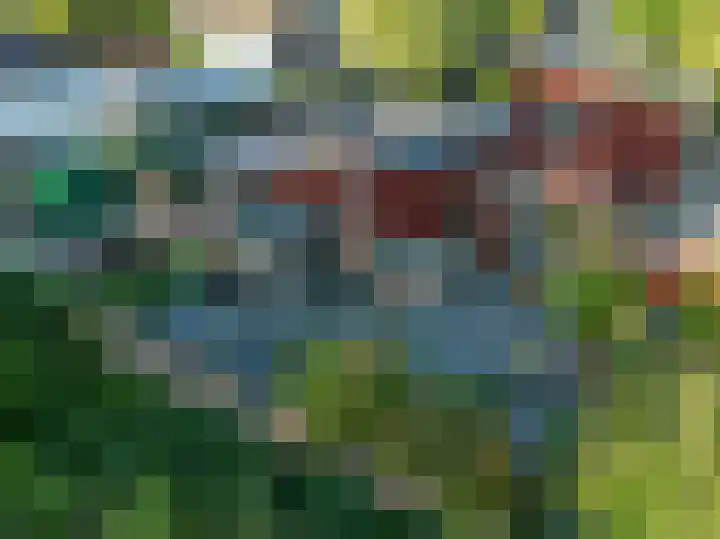 Vossebes 6 Leiden thumbnail 46