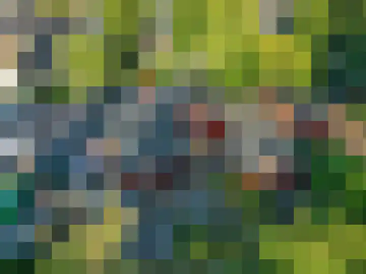 Vossebes 6 Leiden thumbnail 47