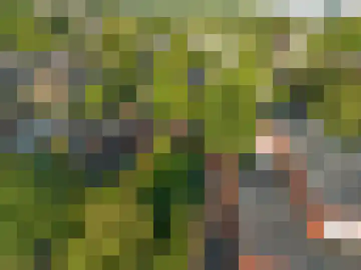 Vossebes 6 Leiden thumbnail 49