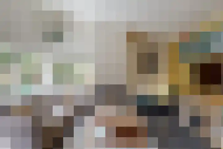 Vossebes 6 Leiden thumbnail 9