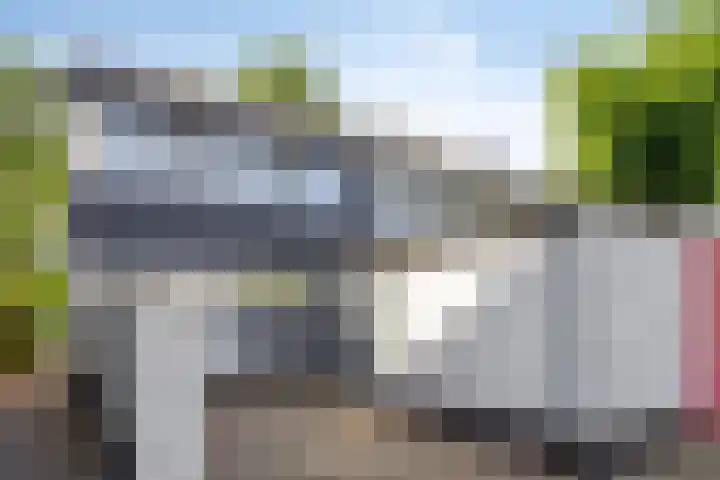 Vossehol 19 Oss