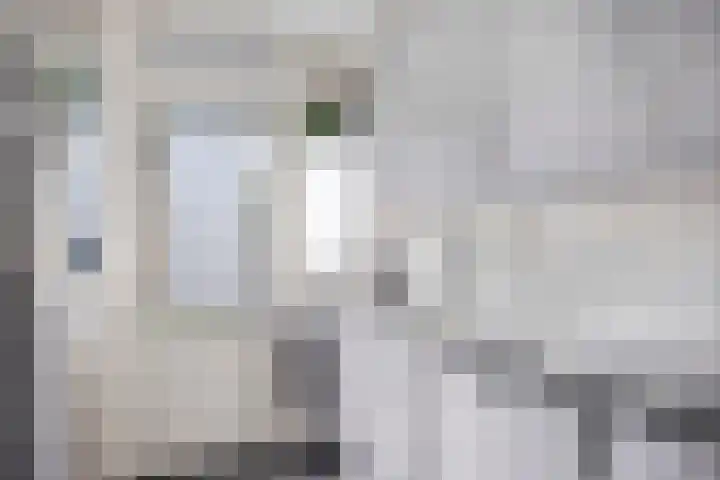 Vossehol 19 Oss thumbnail 12