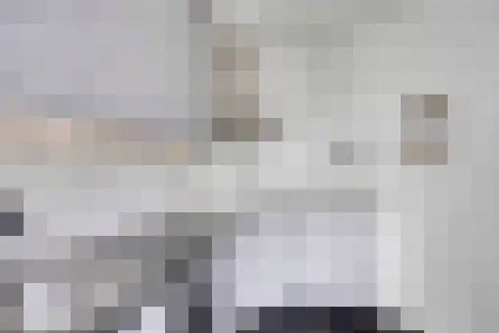 Vossehol 19 Oss thumbnail 13