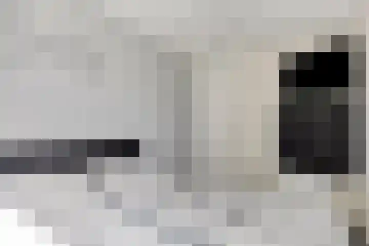 Vossehol 19 Oss thumbnail 17