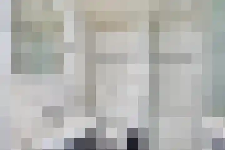Vossehol 19 Oss thumbnail 18
