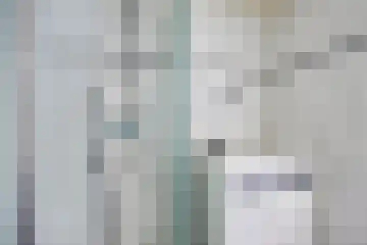 Vossehol 19 Oss thumbnail 19