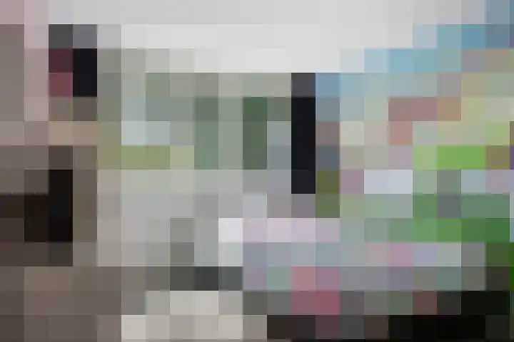 Vossehol 19 Oss thumbnail 20