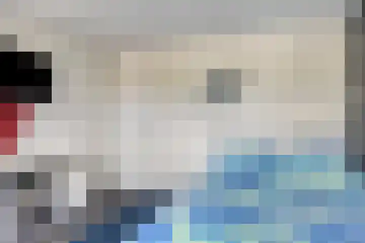 Vossehol 19 Oss thumbnail 22