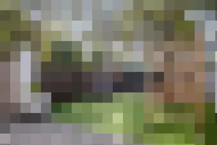 Vossehol 19 Oss thumbnail 30