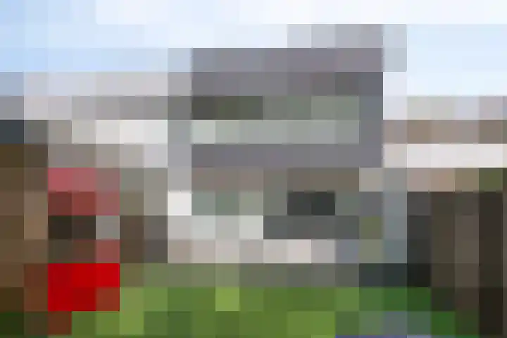 Vossehol 19 Oss thumbnail 33