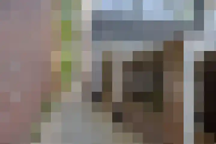 Vossehol 19 Oss thumbnail 35