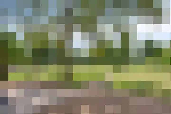Vossehol 19 Oss thumbnail 36