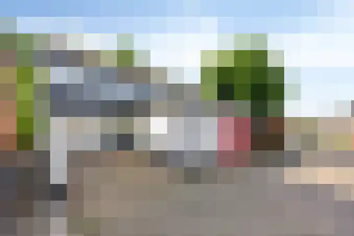 Vossehol 19 Oss thumbnail 39