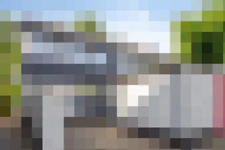 Vossehol 19 Oss thumbnail 45