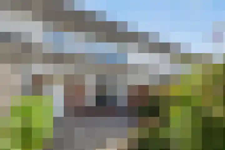 Vossehol 37 Oss