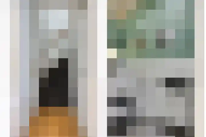 Vossehol 55 Cuijk thumbnail 12