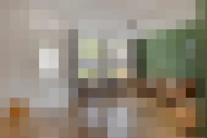 Vossehol 55 Cuijk thumbnail 13