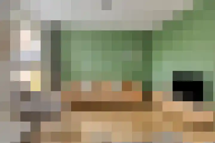 Vossehol 55 Cuijk thumbnail 14