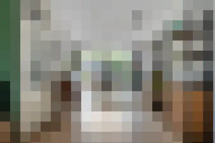 Vossehol 55 Cuijk thumbnail 15